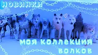 schleich обзор коллекции фигурок волков + распоковка новинок 💞