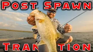 Post Spawn Transition &ndash; Shakey Head Worms And Crankbaits!