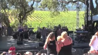 Andy Cahan on Keyboards with the Turtles.m4v
