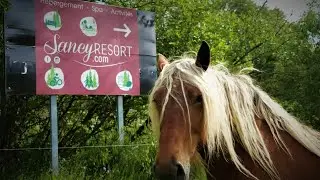 Reportage - Le Sancy Resort