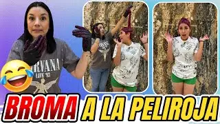 Broma Sale Mal | Madrina Gediva