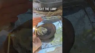 Make Survival Fire with Cooking Grease #shorts #shortsfeed