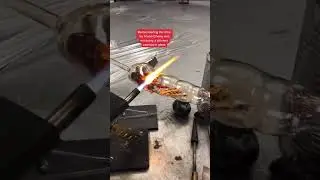 Encasing a Chicken Carcass in Glass