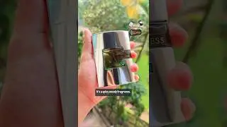 Guess Man Perfume Review #fragrance #cologne #formen #perfumereviews #menscologne #shorts #guess