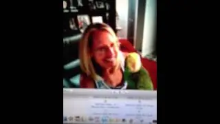 Ziggy says pretty bird