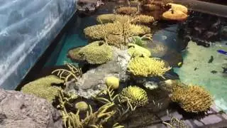 Lisbon Oceanarium / Oceanário de Lisboa, Portugal - 11th May, 2016