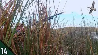 THIS WORKED?! (Limited Out) | Duck Hunting Out Of A MINI Cattail Blind