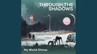 Through the Shadows