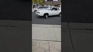Cutlass lay n play #Oldsmobile #cuttlassupreme #lowrider #lowlow #fyp