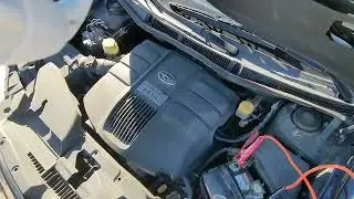 44019