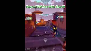 What do you think about the TDM gamemode?
