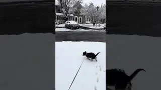 Harford county snow 02132024