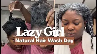 LAZY Natural Hair Wash Day After 2 Months of Neglect | Detangling & Reset
