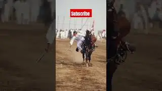 🏇🐎🐴#marwarihorseteam #horse #tentpegging #horselover #horseriding #internationaltentpeggingday