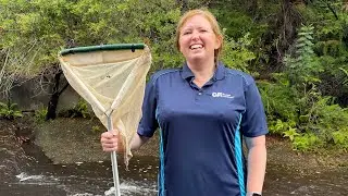 Catching water bugs at Maddens Creek