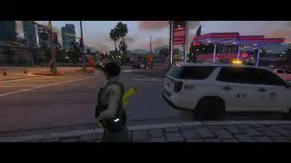 [GTAW:IO] LSSD is watching you