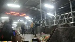 Takiya To Kanpur Vlog l Unnao wala and YouTube channel
