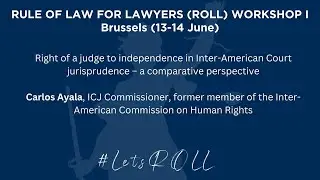 Right of a judge to independence in Inter-American jurisprudence | Presentation by Carlos Ayala