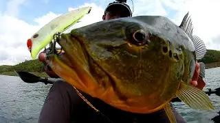 A pegada desse #PEIXE é #SURREAL 😮 isca BRAVA 77 nele!!!!