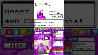 Weezing Solo Run - Misty Was Too Easy!