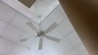 Quorum Custom Ceiling Fans