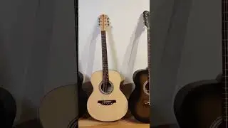 Guitar Collection🔥 | Looking like a Wow❤️😍 #guitarshop #guitarstore #guitaraccessories