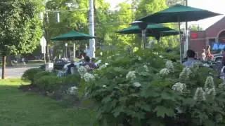 The Bardstown Road Experience