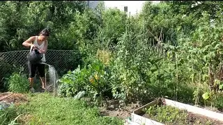 Pinay living in Sweden:Vegetable Gardening /Summer 2021