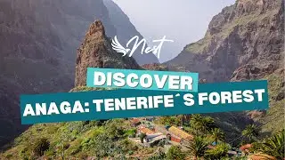 Anaga Rural Park: Explore Curiosities About Tenerife&rsquo;s Must-Visit Destination