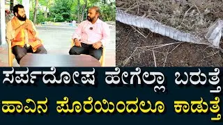 ಸರ್ಪದೋಷ ಹೇಗೆಲ್ಲ ಬರುತ್ತೆ? | ಹಾವಿನ ಪೊರೆ ತುಳಿದ್ರು ಕಾಡುತ್ತೆ ?