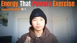 Energy Systems During Exercise (Cellular Respiration, ATP, and Creatine Explained)