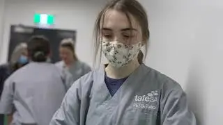 Study Animal Studies and Vet Nursing at TAFE SA