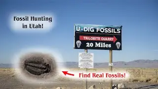 U Dig Fossils, Trilobite Hunting, Utah Travel