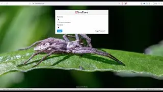 AtroPIM Installation Support &ndash; Get Started Online Today!