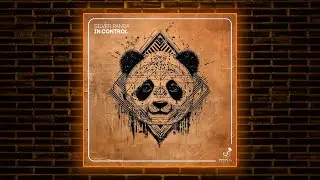 Silver Panda - In Control