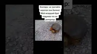 мем