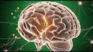 What Happens Inside Your Body When You Eat an Apple? 🍎 | Science Explained i Science vience