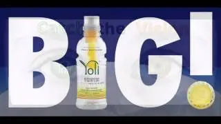 Yoli big webinar 8-24-2010.avi