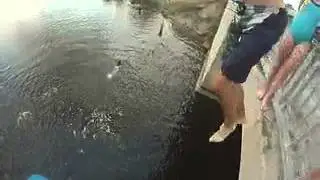Jumping of the riverview bridge