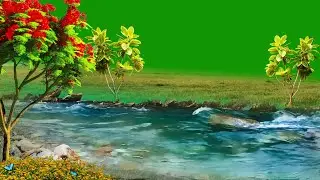 Nature Green Screen / Green Screen Background / River Green Screen / Background Video Effects hd