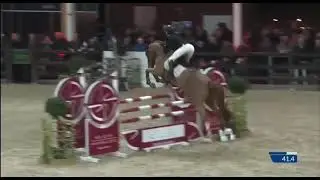 Excelsior Optimus Z - 6 year old stallions Lier
