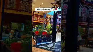 Lahore Basant Festival 2026 #lahore #basant #lahore #pakistan #love #reel #tashan