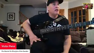 Case 4 Bass Interview with guest bassist Victor Pena: Modulus Basses & His Love for Sansamp Peddles