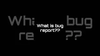 What Is Bug Report??