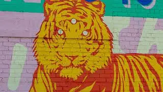 Murals in the Market