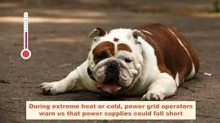 How clean energy saves the day: real talk on reliable power