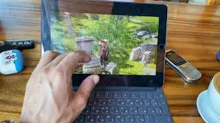 Playstation 4 игры на планшете iPad через Remote Play