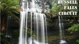 Russell Falls Circuit, Mt Field National Park - Tasmania Hiking