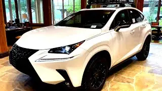 2020 Custom Lexus NX300 Blackline Edition Walkaround