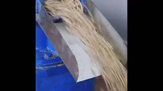Feed pellet machine:Poultry animal feed making machinery